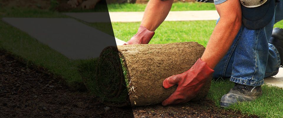 Senatobia Landscapers